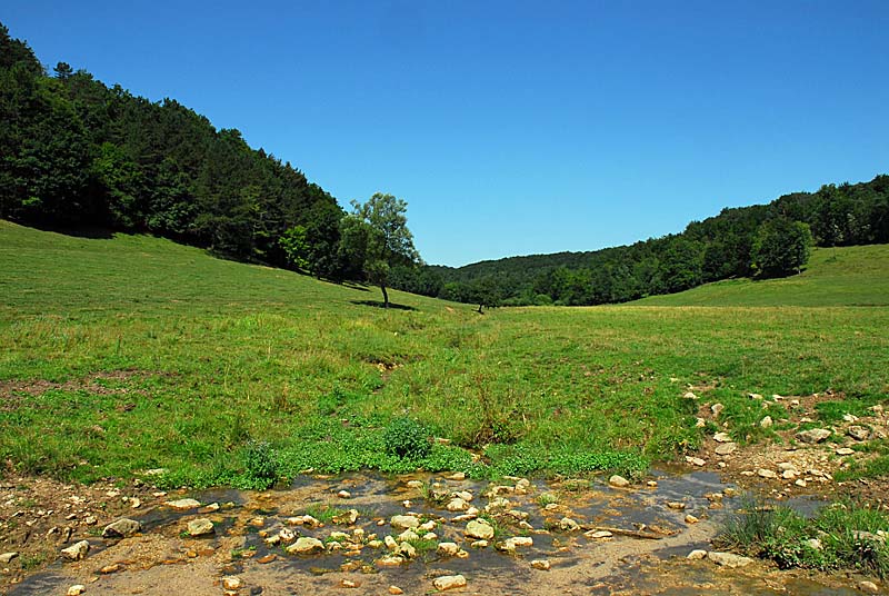 Vallon d'Amorey, Auberive - photo 5