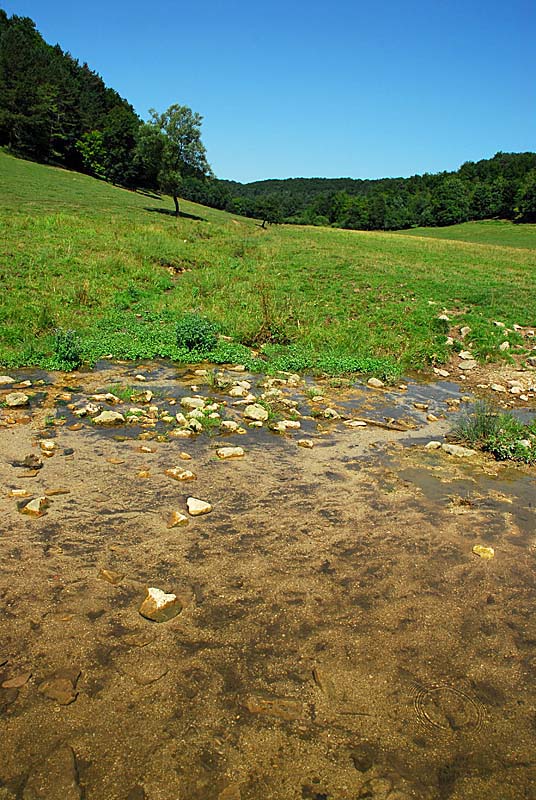 Vallon d'Amorey, Auberive - photo 8