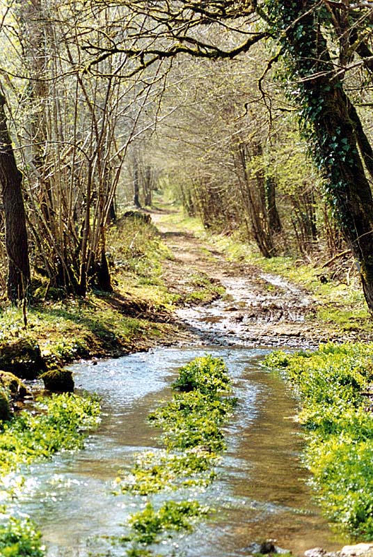 VALLON DE LA SENANCE, Courcelles-en-Montagne - photo 3