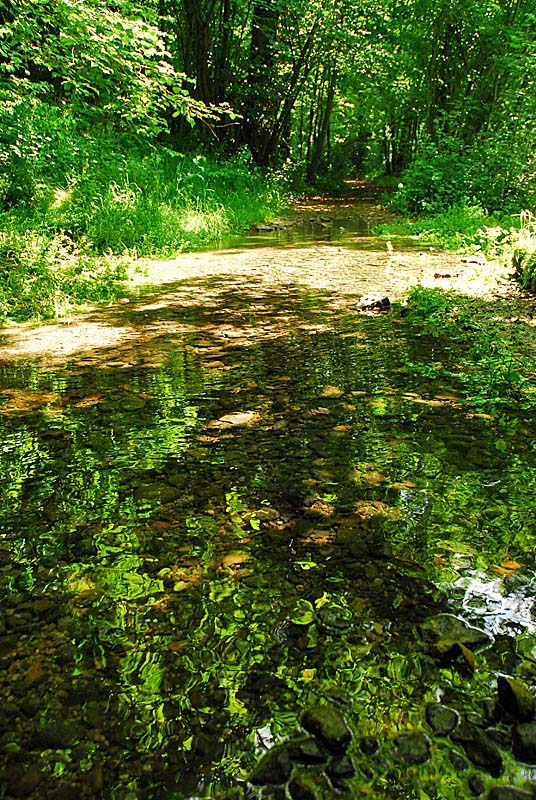VALLON DE LA SENANCE, Courcelles-en-Montagne - photo 4