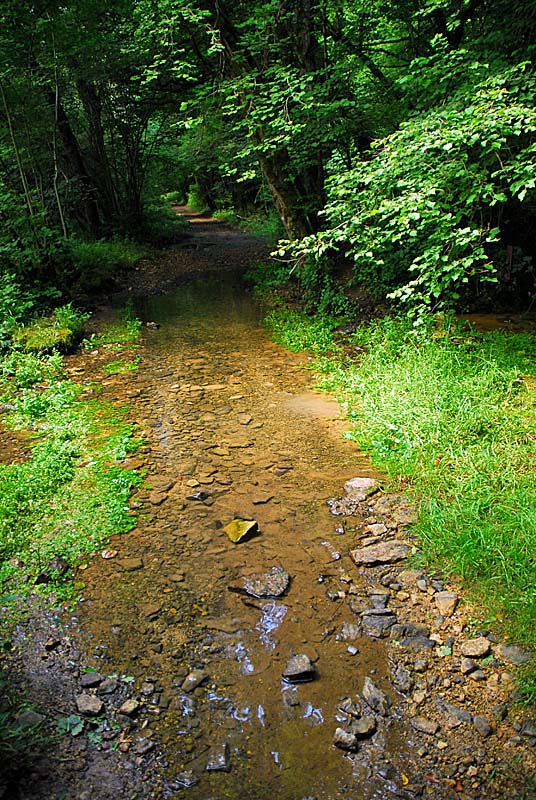 VALLON DE LA SENANCE