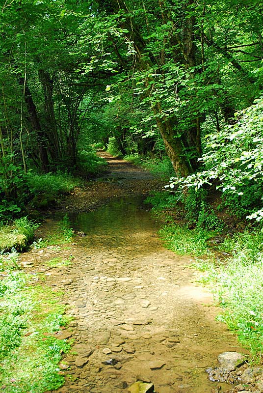 VALLON DE LA SENANCE, Courcelles-en-Montagne - photo 2