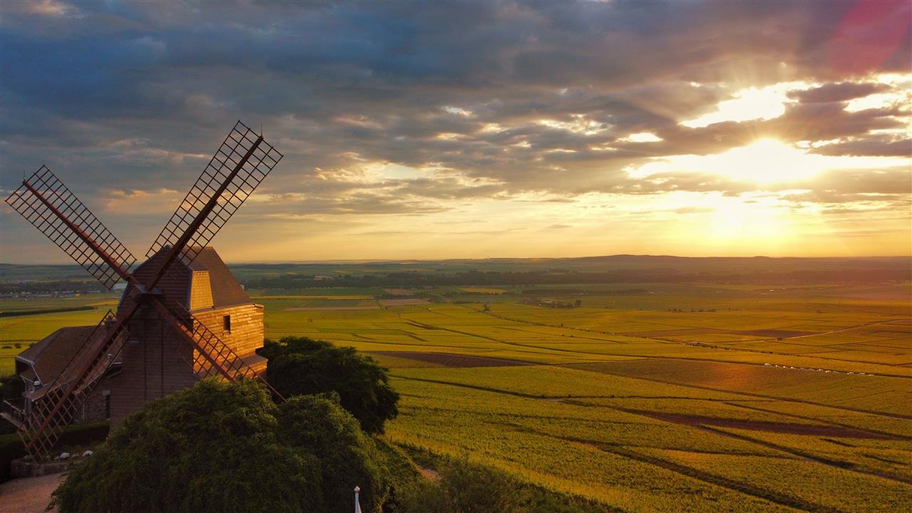 Verzenay---Moulin-min