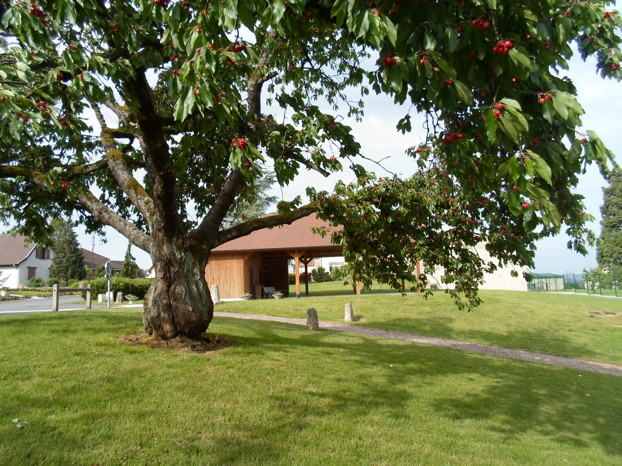 Aire de service et de  stationnement de Villers sous Châtillon