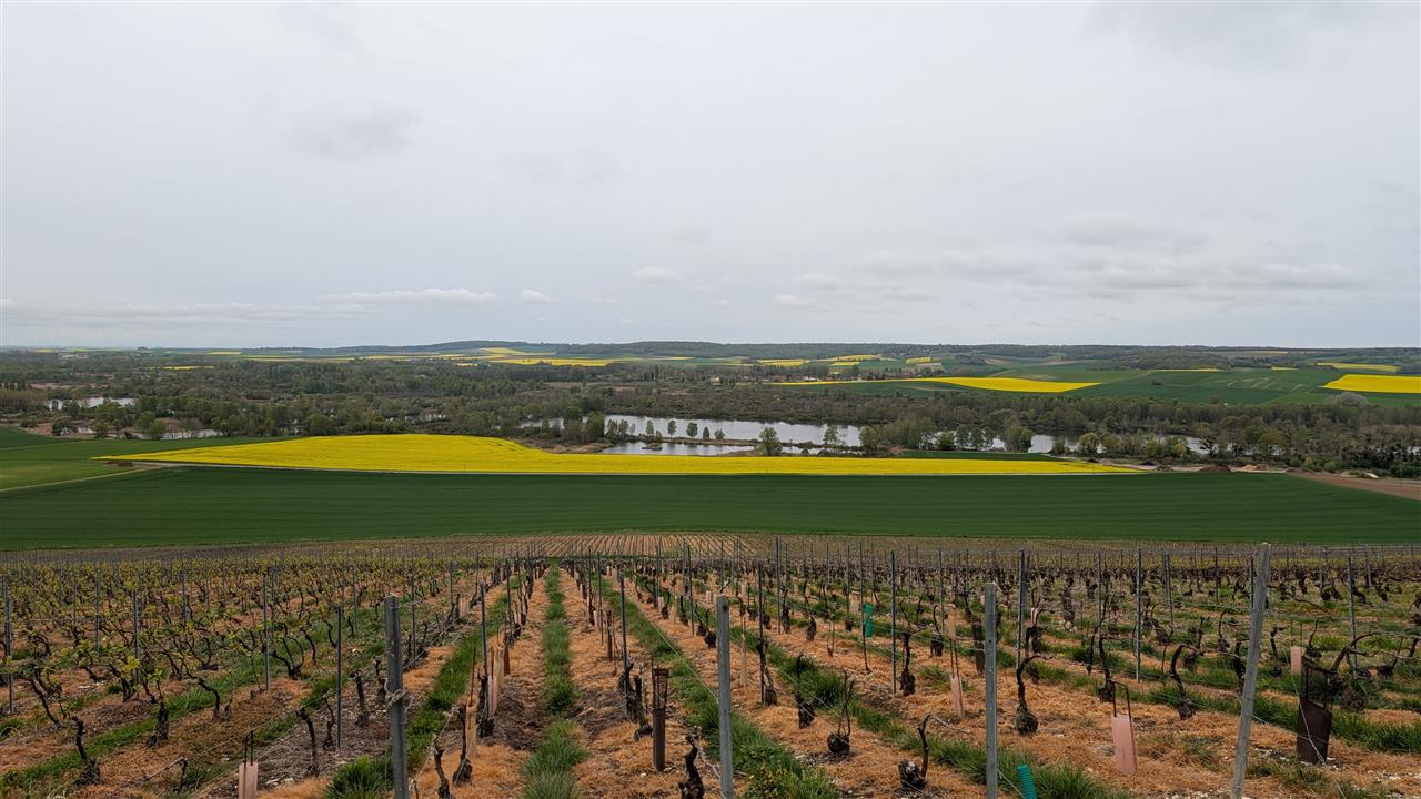 Point de vue de Villevenard