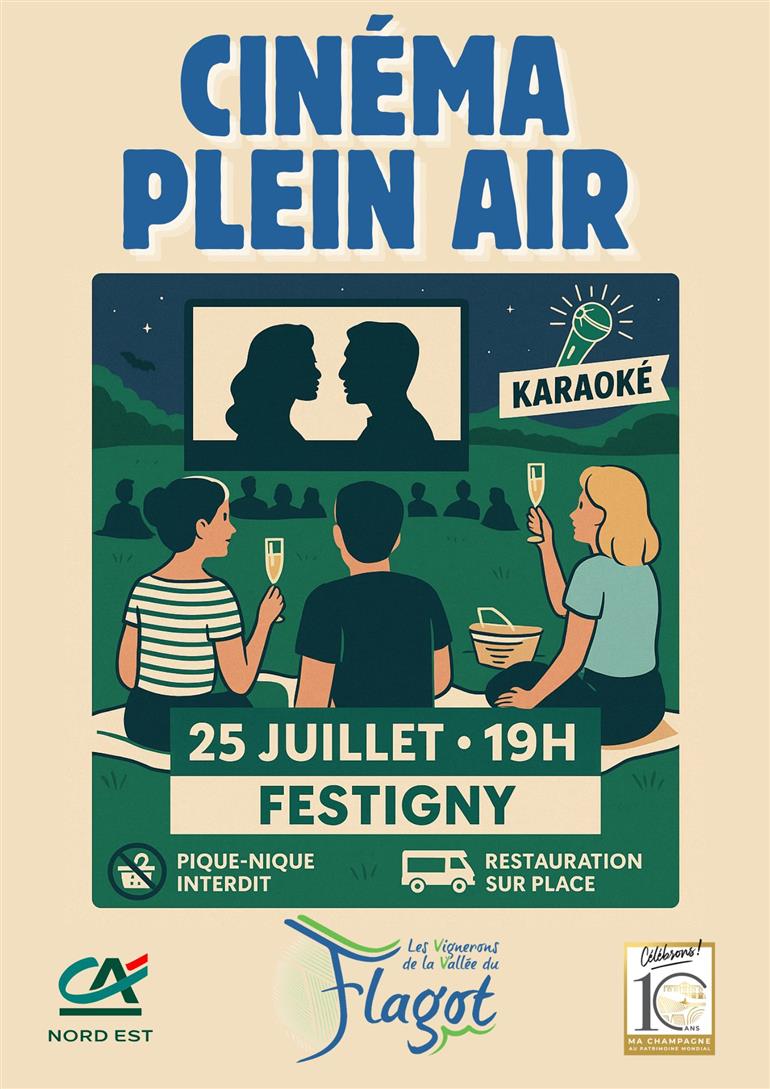 Affiche Cinéma Plein Air - VVF - Festigny - 25/07/2025