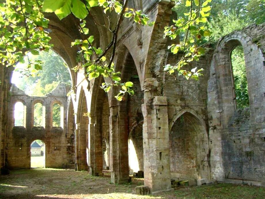 Jardin de l'Abbaye de Trois Fontaines, Trois-Fontaines-l'Abbaye - photo 3