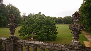 Jardin de l'Abbaye de Trois Fontaines, Trois-Fontaines-l'Abbaye - photo 6