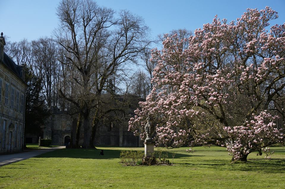 Jardin de l'Abbaye de Trois Fontaines, Trois-Fontaines-l'Abbaye - photo 8