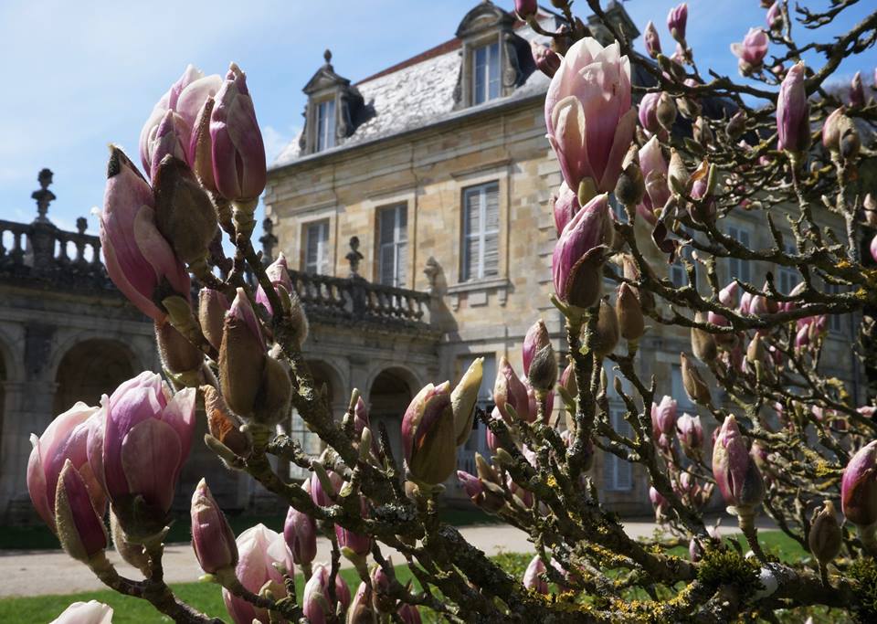 Abbaye de Trois-Fontaines, Trois-Fontaines-l'Abbaye - photo 2