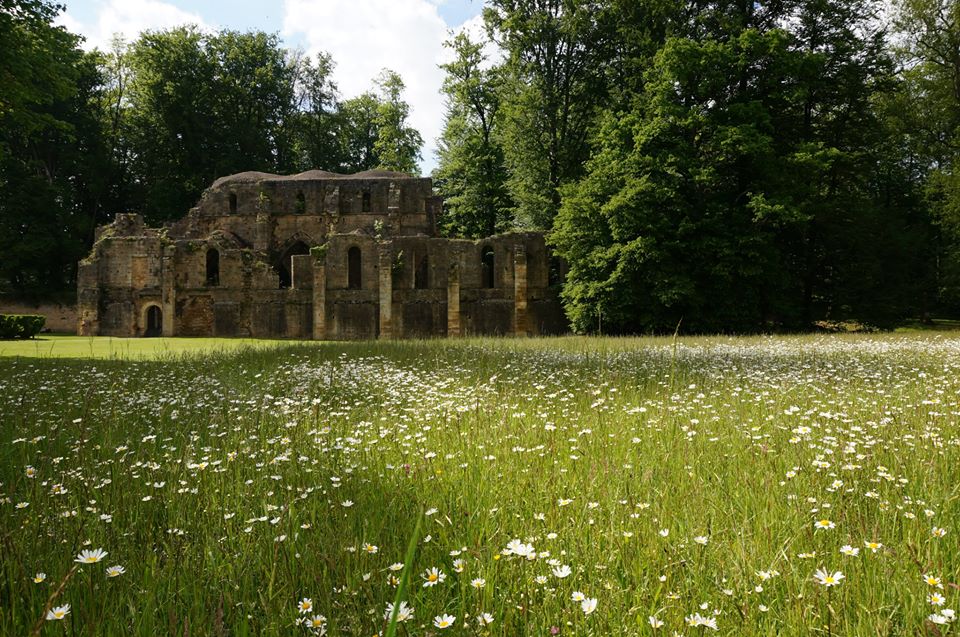 PR 36 Circuit des gouffres de Trois Fontaines, Trois-Fontaines-l'Abbaye - photo 2