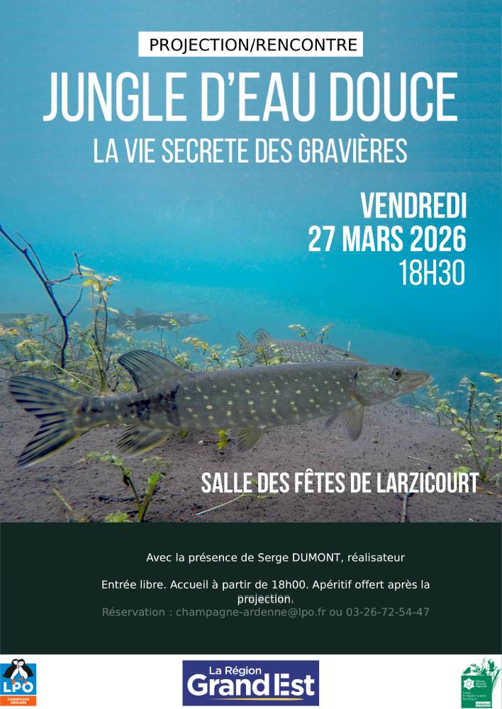 Projection-rencontre "Jungle d'eau douce, la vie secrète des gravières"