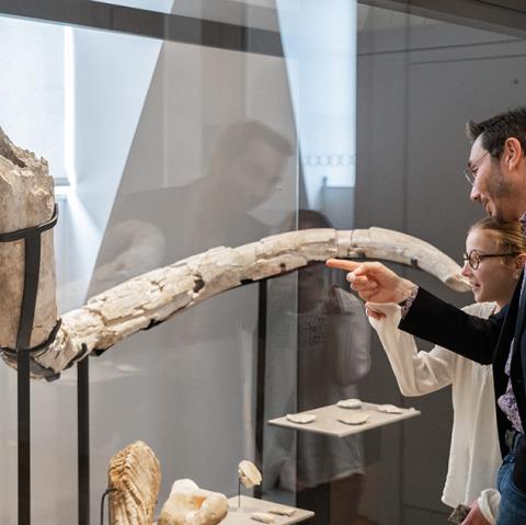 Visite P’tits bouchons "Un mammouth au musée"_1