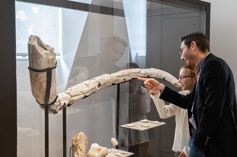 Visite P’tits bouchons "Un mammouth au musée"_1