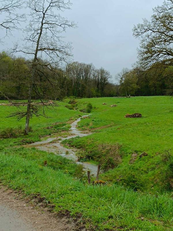 AU COEUR DE L'EDEN - BALADES FÉERIQUES, Orbigny-au-Val - photo 9