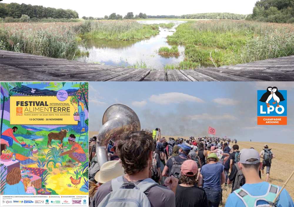 Balade-ciné-débat au fil de l'eau et des zones humides