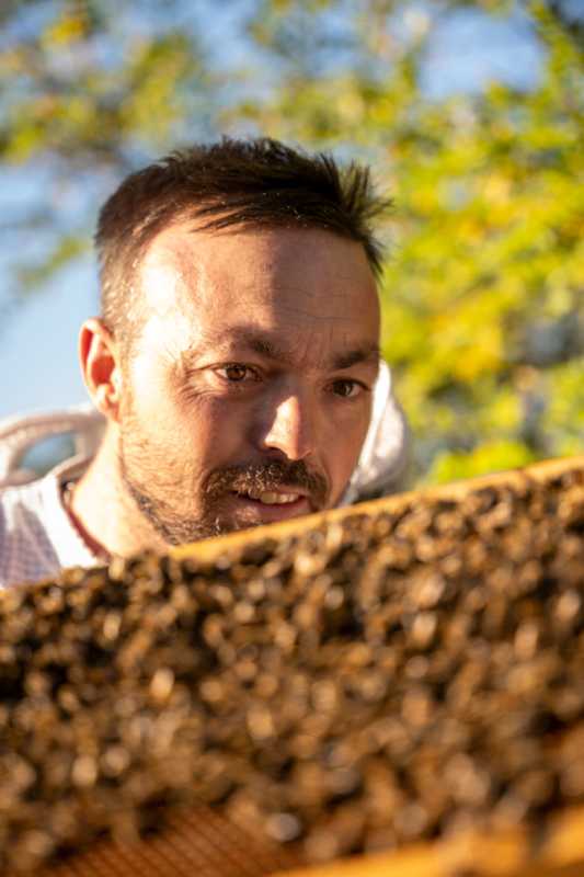 AU RUCHER DE THIVET - photo 4