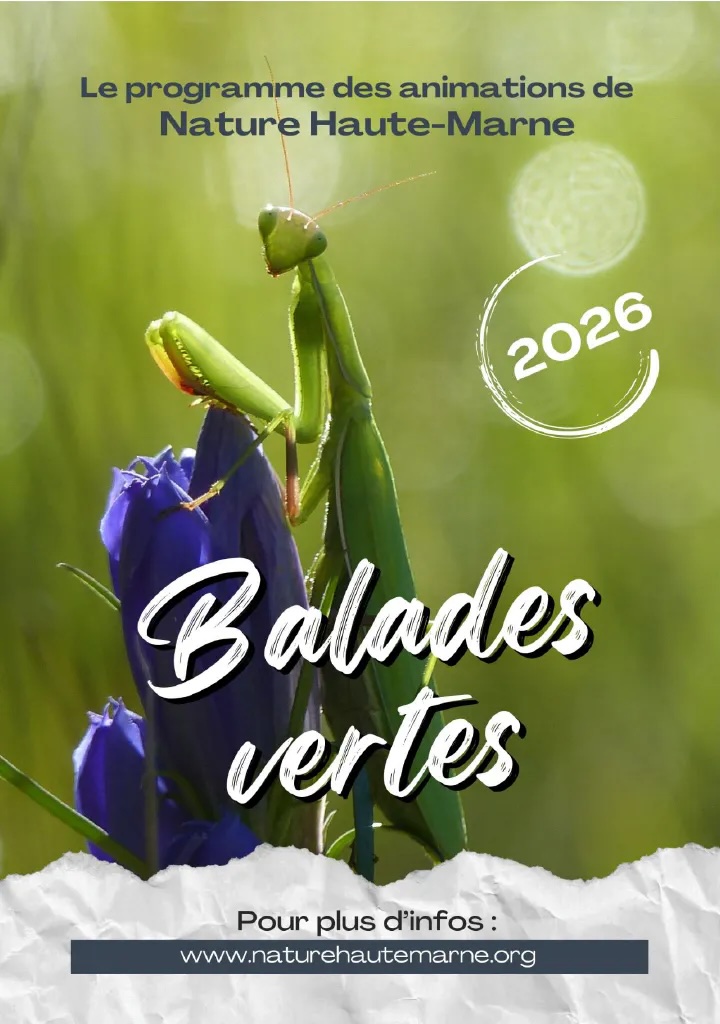 Balade verte avec Nature Haute-Marne