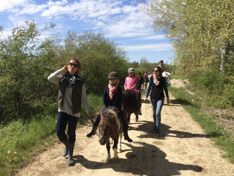 L'Arche de René Animation