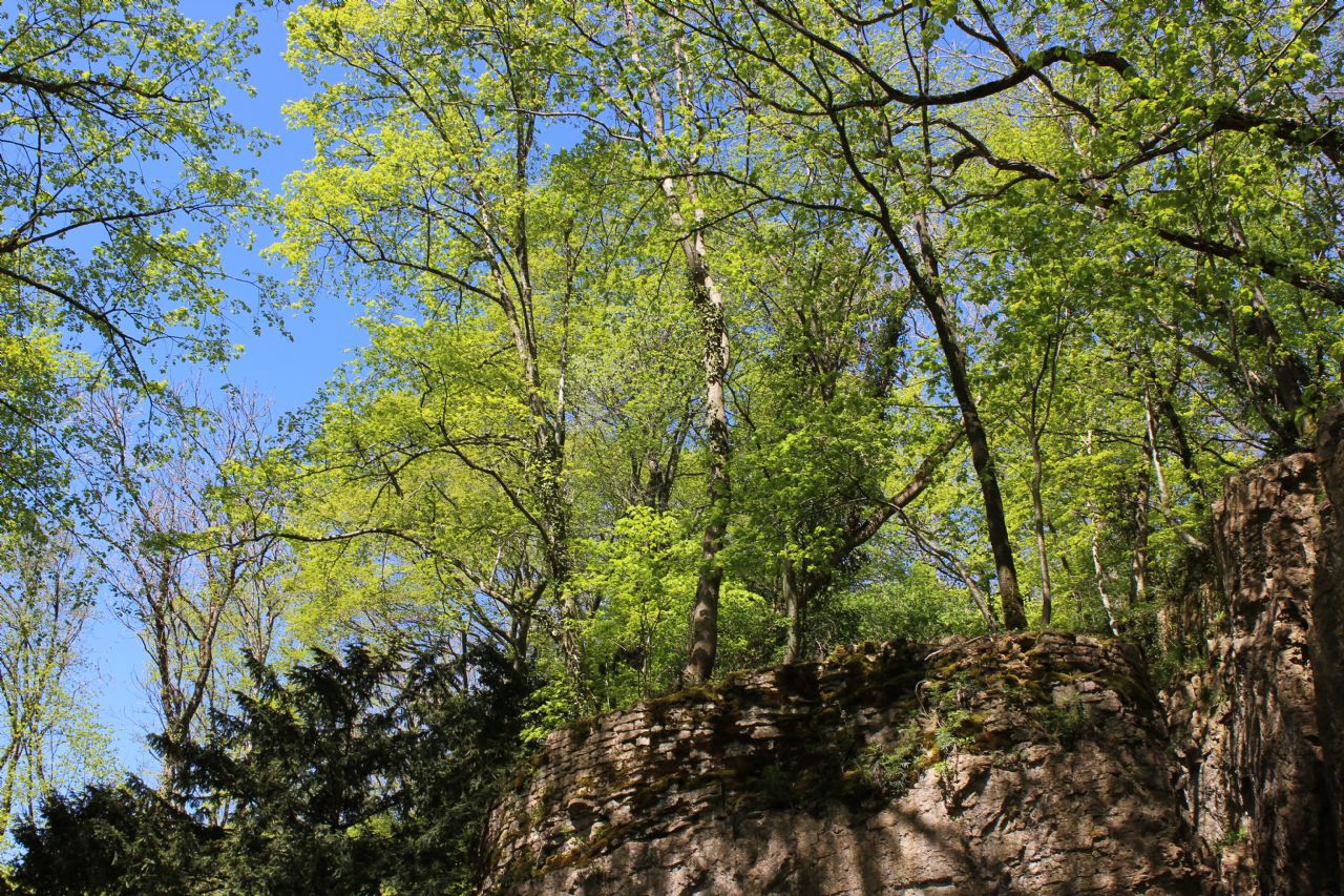 PARC DES ROCHES ET PROMENADE DU CONA, Bourmont-entre-Meuse-et-Mouzon - photo 5
