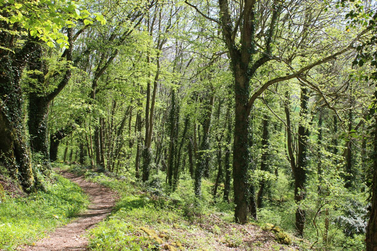 PARC DES ROCHES ET PROMENADE DU CONA