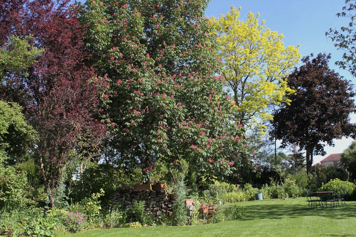 Un Jardin pour tous les Sens