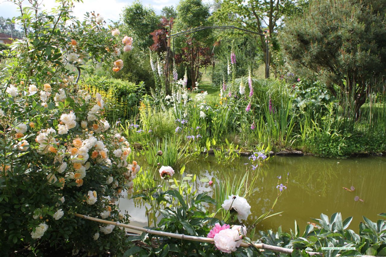 Un Jardin pour tous les Sens, Ceffonds - photo 3
