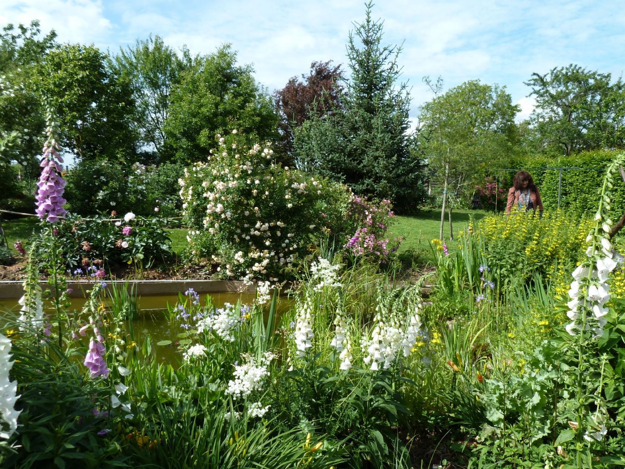 Un Jardin pour tous les Sens, Ceffonds - photo 9