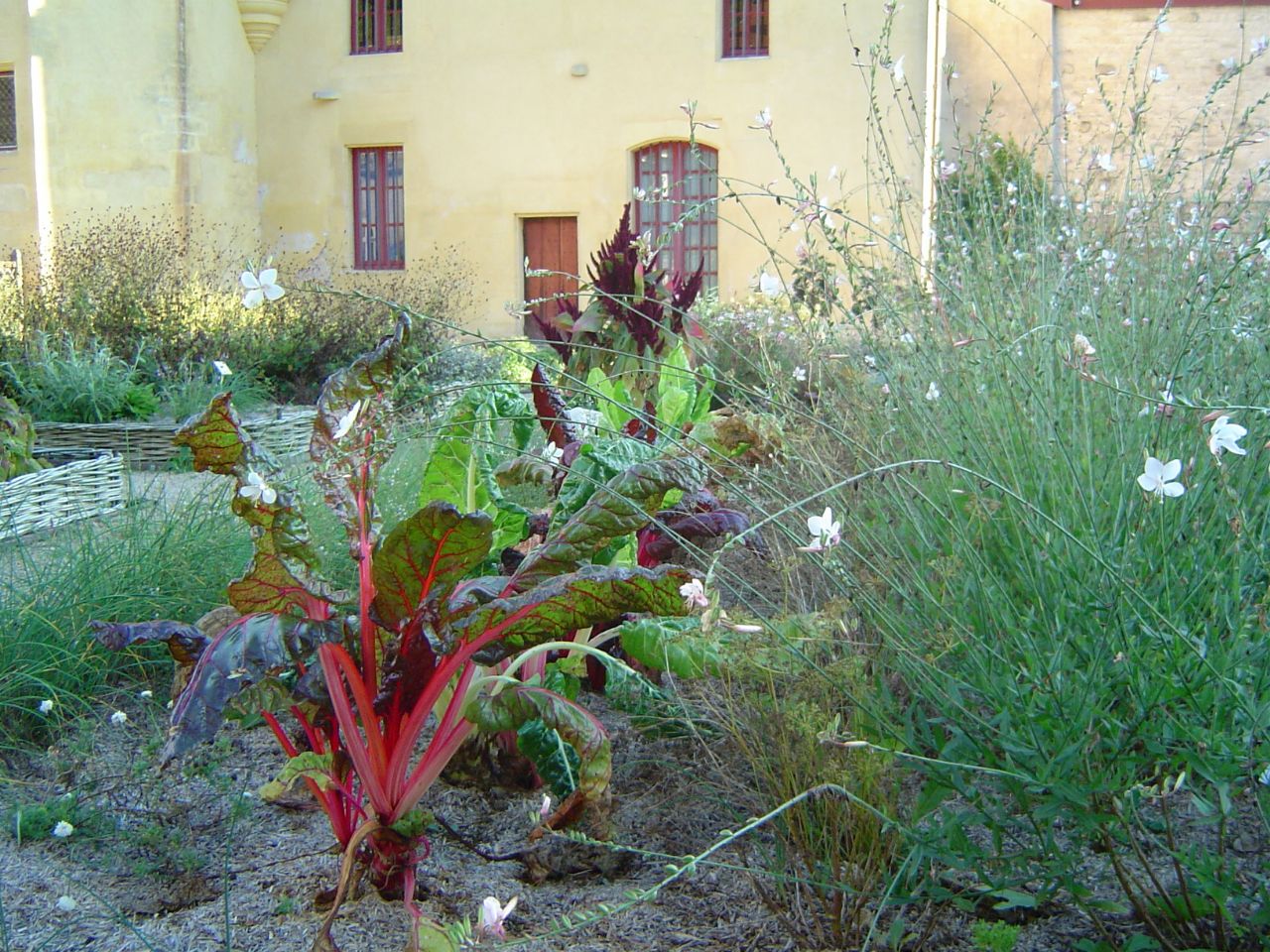 LE JARDIN DU CHATEAU, Chevillon