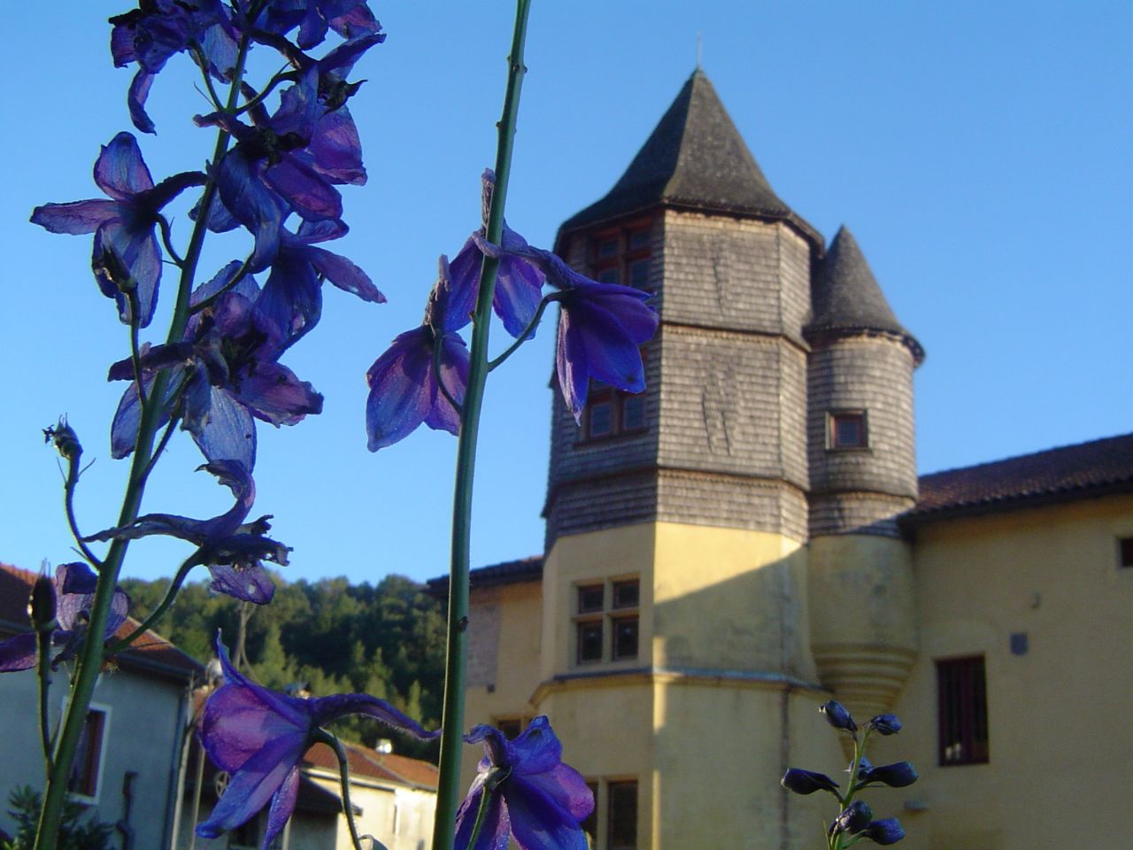 CHATEAU DE CHEVILLON, Chevillon - photo 2