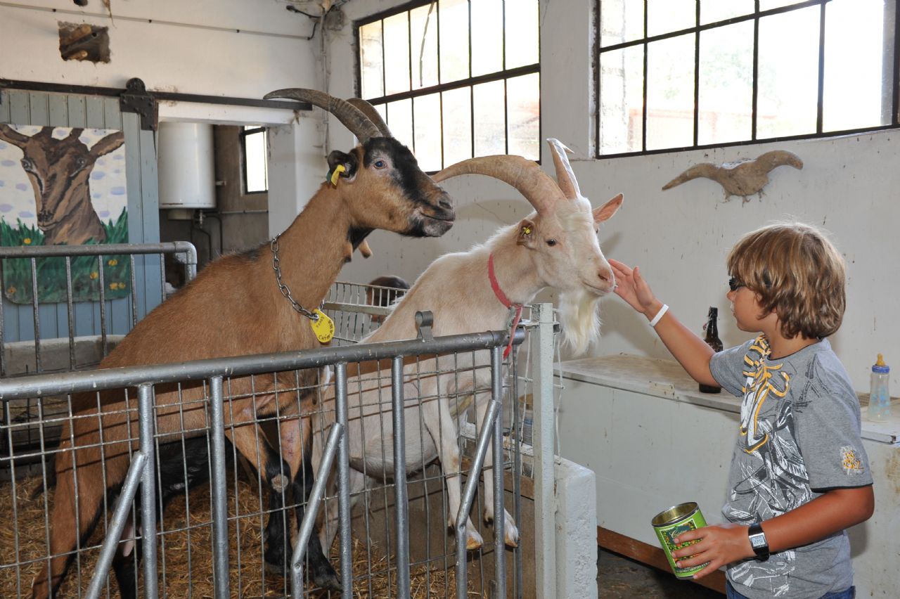 LA FERME DES GOURMANDISES