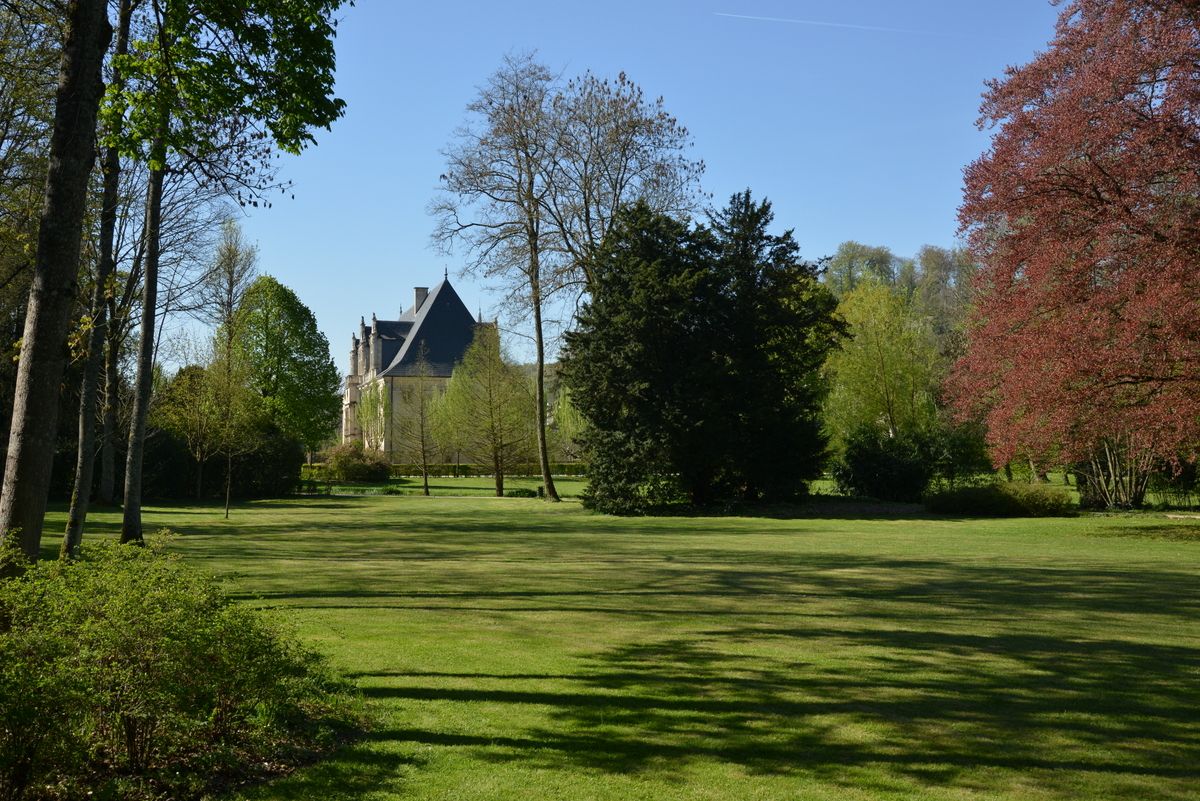 CHATEAU DU GRAND JARDIN, COTE CHATEAU, Joinville - photo 8