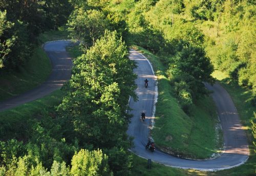 LACETS DE MELAIRE - LA PETITE SUISSE, Poissons - photo 2