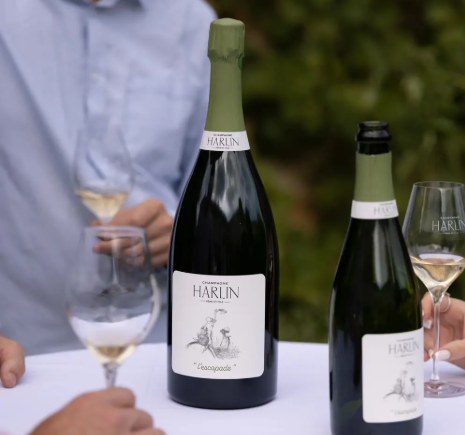 Champagne Harlin