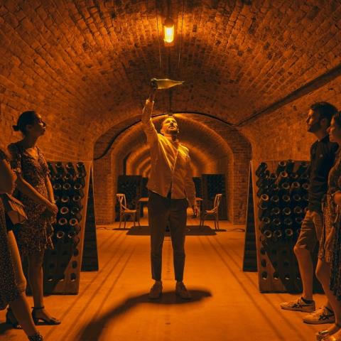 Cave - Champagne Collard-Milesi