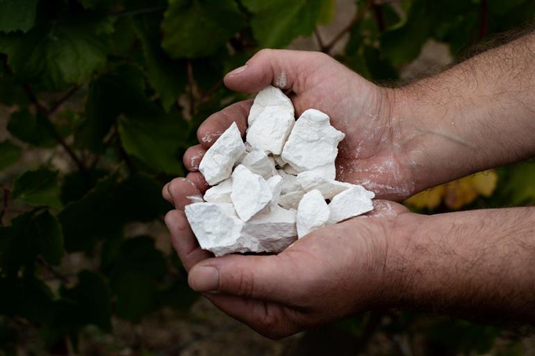 champagne-famille-collet-craie @ JM Leclere