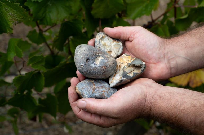 champagne-famille-collet-mains @ JM Leclere
