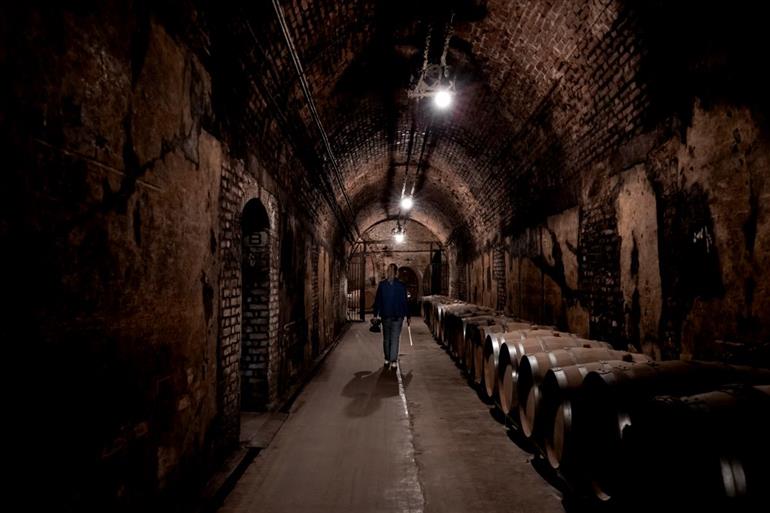 champagne-guy-charbaut-caves
