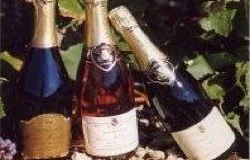 CHAMPAGNE HERVE HUDELET