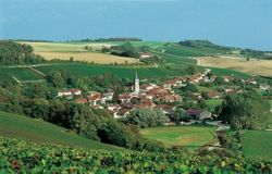 CHAMPAGNE HERVE HUDELET