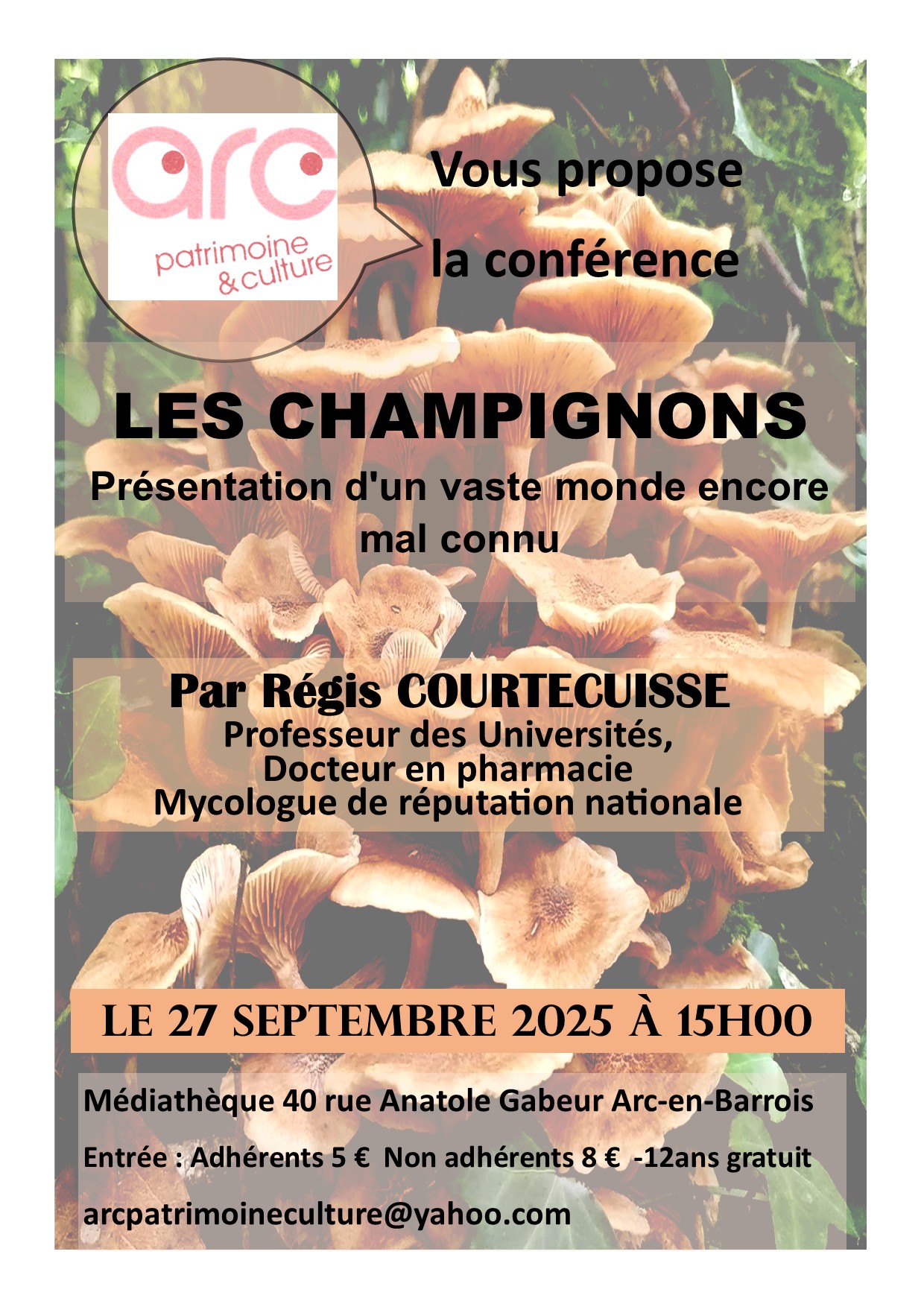 LES CHAMPIGNONS