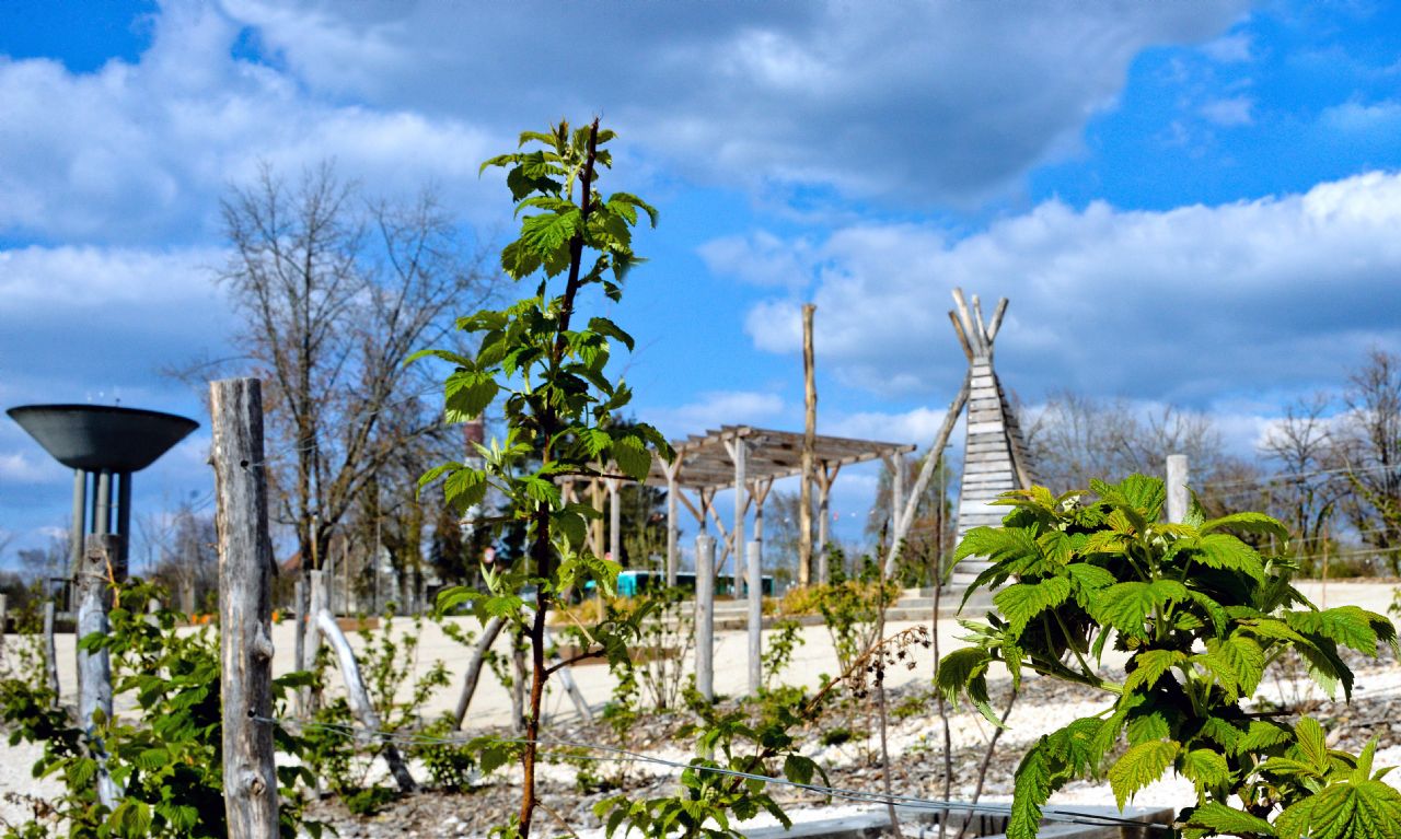 LE JARDIN DES POSSIBLES, Chaumont - photo 2