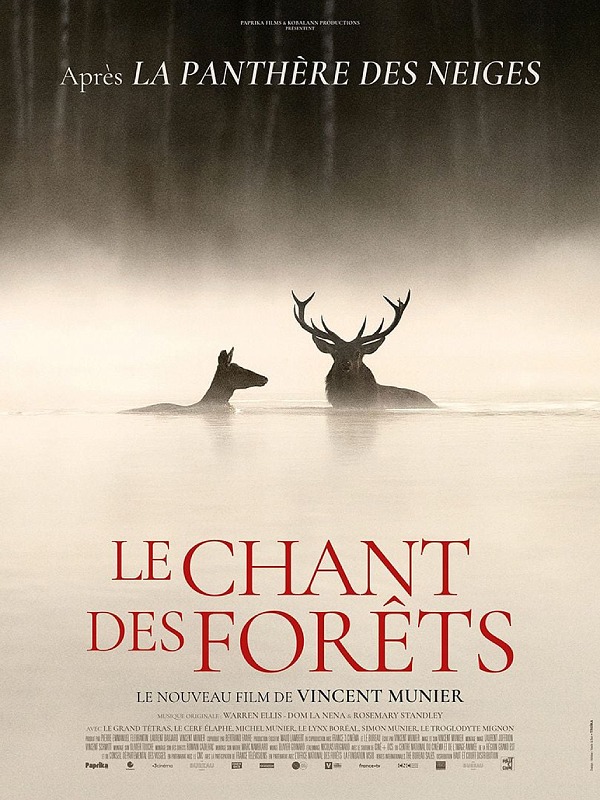 Cinéma à l'auditoire de Joinville "Le chant des forêts"