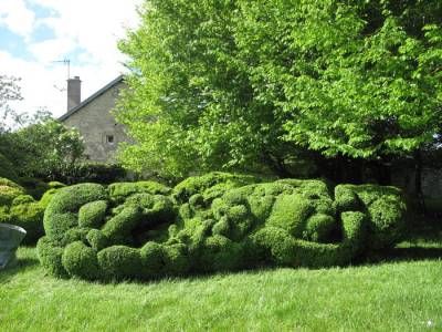 LE JARDIN DU PRESBYTERE