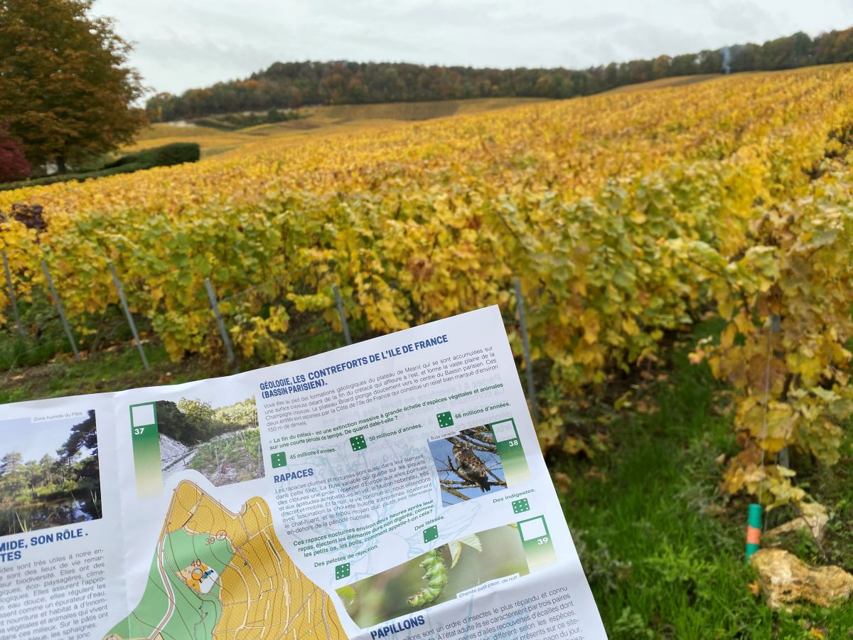 curiocity-par-cap-orientation