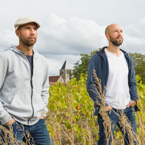 Domaine Collet à Fontaine-Denis-Nuisy (Marne)
Domaine Collet in Fontaine-Denis-Nuisy (Marne)