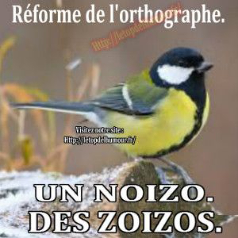 Dictée ados et adultes