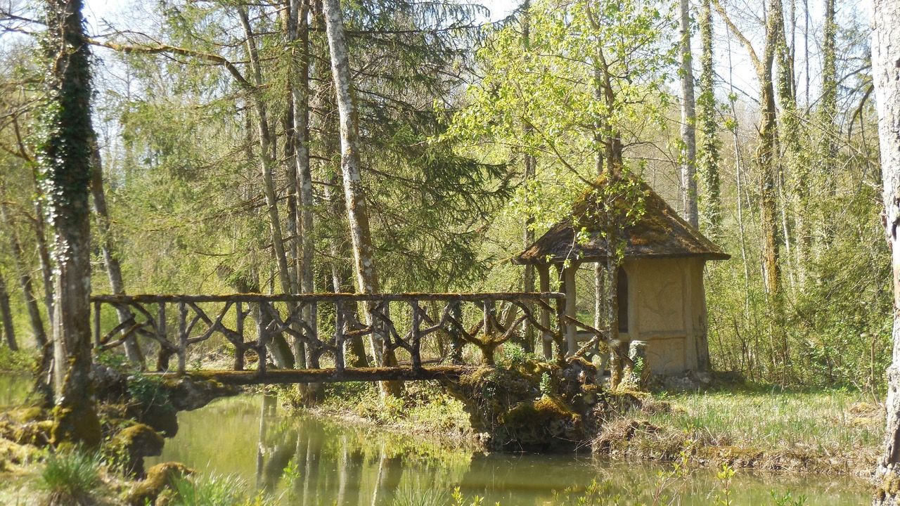 PARC DU DOMAINE DE LAVAUX, Lafauche