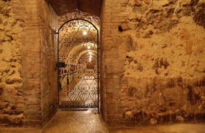 Champagne Charles Ellner - Epernay - Visite de caves sur notre site d'Epernay