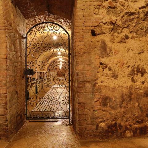 Champagne Charles Ellner - Epernay - Visite de caves sur notre site d'Epernay